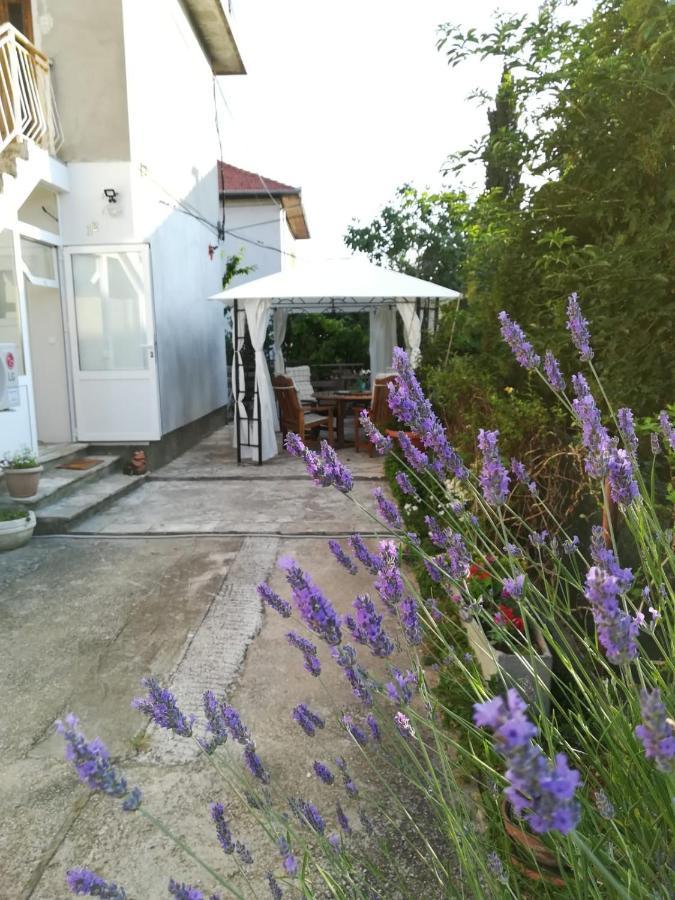 Lili Apartment In Zadar Pet Friendly, Free Parking Экстерьер фото